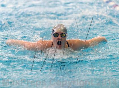 Thumbnail 3 in Valor Christian Swimming Invitational photogallery.