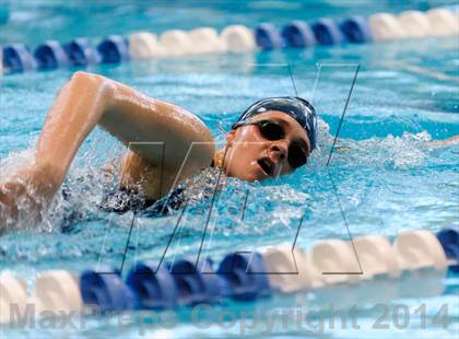 Thumbnail 1 in Valor Christian Swimming Invitational photogallery.