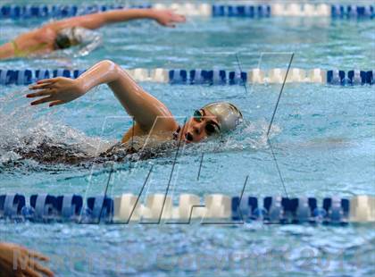 Thumbnail 1 in Valor Christian Swimming Invitational photogallery.