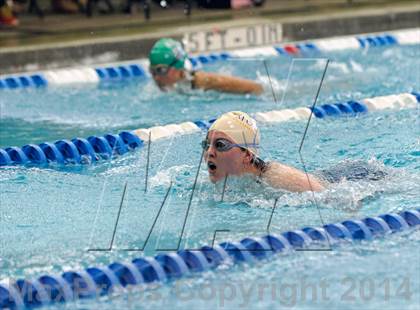 Thumbnail 1 in Valor Christian Swimming Invitational photogallery.