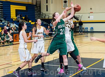 Thumbnail 1 in Palo Alto @ Milpitas photogallery.