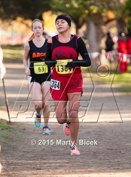 Thumbnail 2 in CIF State Cross Country Championships (D4 Girls Race) photogallery.