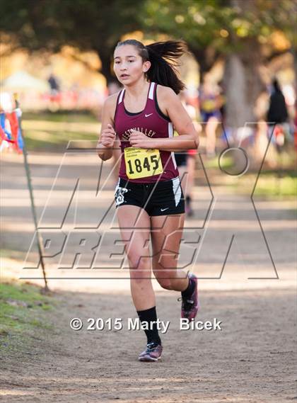 Thumbnail 3 in CIF State Cross Country Championships (D4 Girls Race) photogallery.