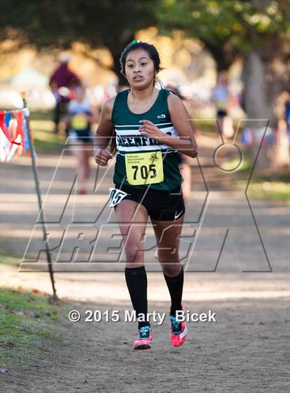 Thumbnail 1 in CIF State Cross Country Championships (D4 Girls Race) photogallery.