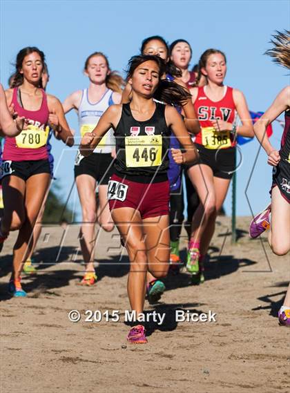 Thumbnail 2 in CIF State Cross Country Championships (D4 Girls Race) photogallery.