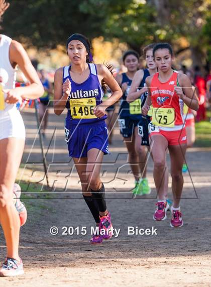 Thumbnail 3 in CIF State Cross Country Championships (D4 Girls Race) photogallery.