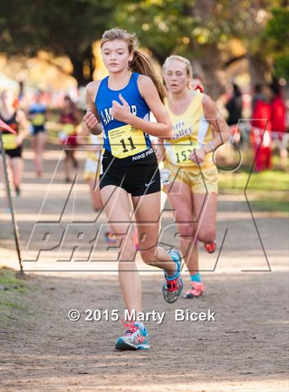Thumbnail 1 in CIF State Cross Country Championships (D4 Girls Race) photogallery.