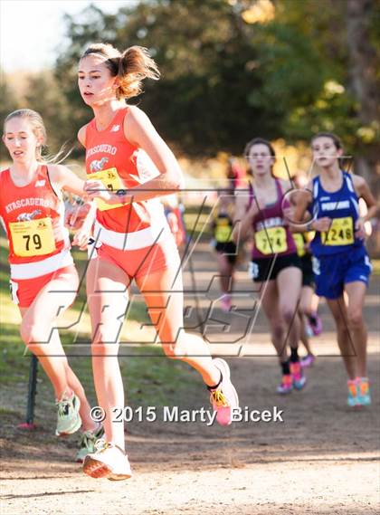 Thumbnail 2 in CIF State Cross Country Championships (D4 Girls Race) photogallery.