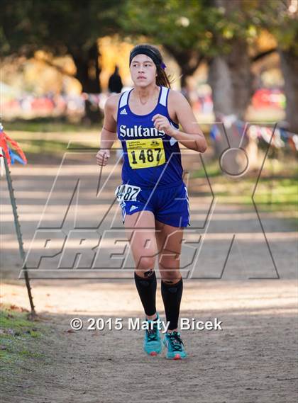 Thumbnail 2 in CIF State Cross Country Championships (D4 Girls Race) photogallery.