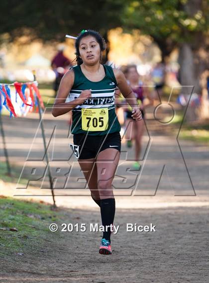 Thumbnail 2 in CIF State Cross Country Championships (D4 Girls Race) photogallery.