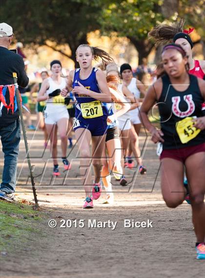 Thumbnail 1 in CIF State Cross Country Championships (D4 Girls Race) photogallery.