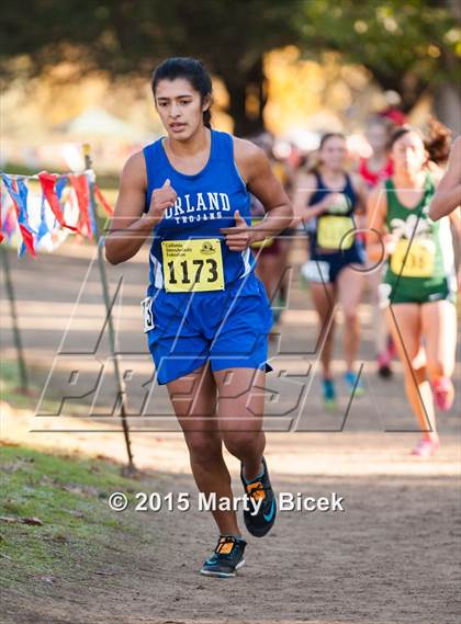 Thumbnail 3 in CIF State Cross Country Championships (D4 Girls Race) photogallery.