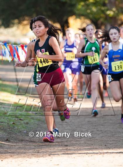 Thumbnail 1 in CIF State Cross Country Championships (D4 Girls Race) photogallery.