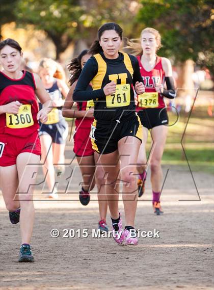 Thumbnail 2 in CIF State Cross Country Championships (D4 Girls Race) photogallery.
