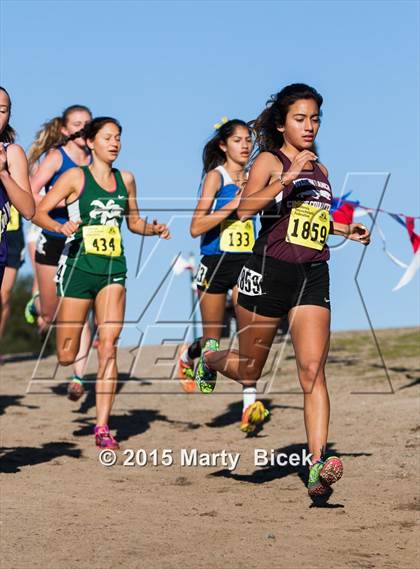 Thumbnail 3 in CIF State Cross Country Championships (D4 Girls Race) photogallery.