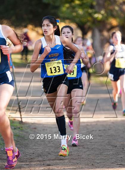 Thumbnail 2 in CIF State Cross Country Championships (D4 Girls Race) photogallery.