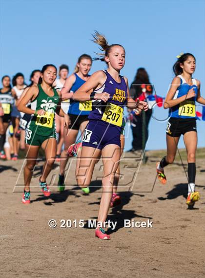 Thumbnail 1 in CIF State Cross Country Championships (D4 Girls Race) photogallery.