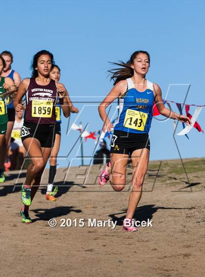 Thumbnail 2 in CIF State Cross Country Championships (D4 Girls Race) photogallery.