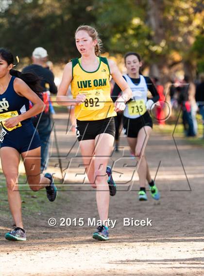 Thumbnail 2 in CIF State Cross Country Championships (D4 Girls Race) photogallery.