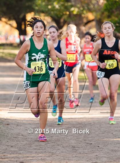 Thumbnail 1 in CIF State Cross Country Championships (D4 Girls Race) photogallery.