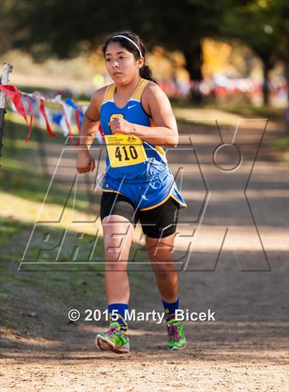 Thumbnail 3 in CIF State Cross Country Championships (D4 Girls Race) photogallery.