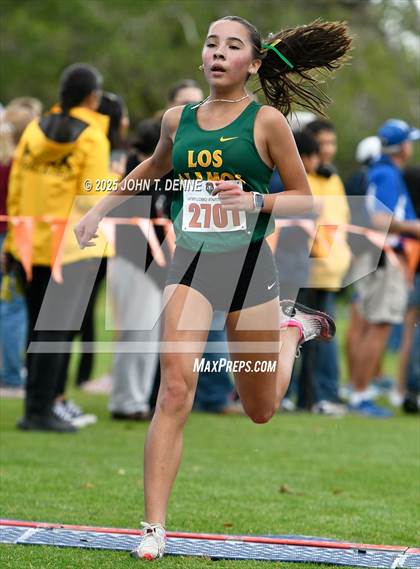Thumbnail 2 in 2025 UNM Lobo XC Invitational photogallery.