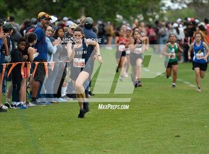 Thumbnail 3 in 2025 UNM Lobo XC Invitational photogallery.