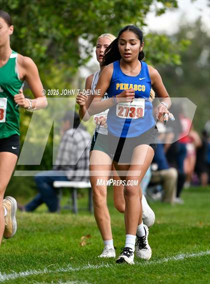 Thumbnail 1 in 2025 UNM Lobo XC Invitational photogallery.