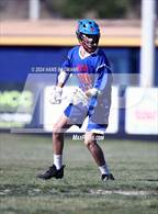 Photo from the gallery "Reno @ Reed"