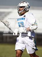 Photo from the gallery "Reno @ Reed"