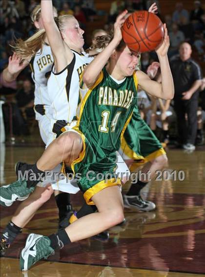 Thumbnail 2 in Paradise vs. Enterprise (CIF NS D3 Final) photogallery.