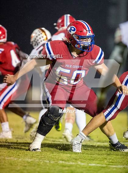 Thumbnail 1 in Meigs County @ Polk County photogallery.
