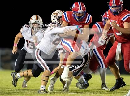 Thumbnail 1 in Meigs County @ Polk County photogallery.