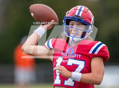 Thumbnail 2 in Meigs County @ Polk County photogallery.