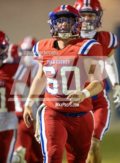 Thumbnail 2 in Meigs County @ Polk County photogallery.