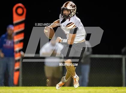 Thumbnail 2 in Meigs County @ Polk County photogallery.