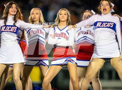 Thumbnail 1 in Meigs County @ Polk County photogallery.