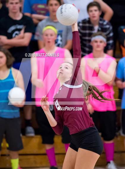 Thumbnail 1 in Bear Creek @ Chatfield photogallery.