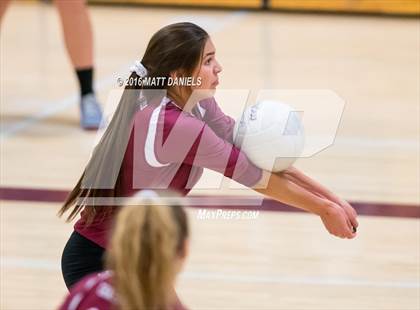 Thumbnail 3 in Bear Creek @ Chatfield photogallery.