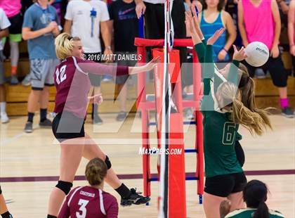 Thumbnail 1 in Bear Creek @ Chatfield photogallery.