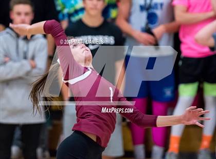 Thumbnail 3 in Bear Creek @ Chatfield photogallery.