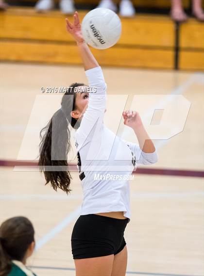 Thumbnail 3 in Bear Creek @ Chatfield photogallery.
