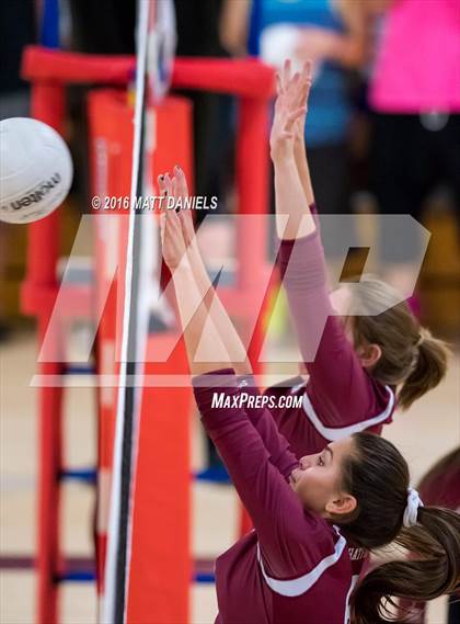 Thumbnail 1 in Bear Creek @ Chatfield photogallery.
