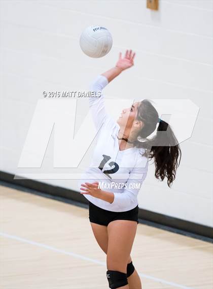 Thumbnail 1 in Bear Creek @ Chatfield photogallery.
