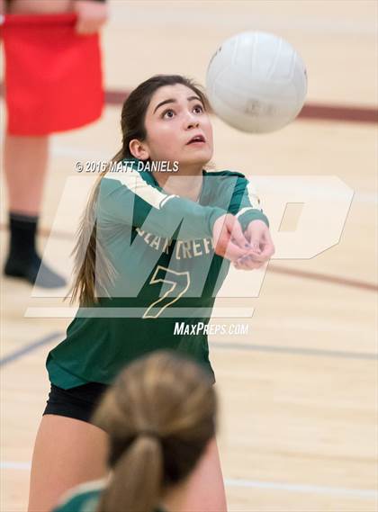 Thumbnail 2 in Bear Creek @ Chatfield photogallery.