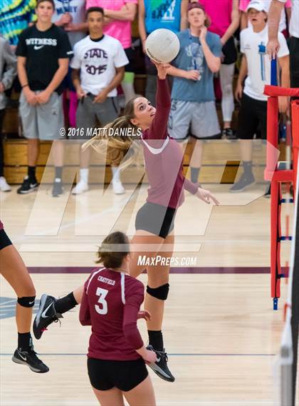 Thumbnail 3 in Bear Creek @ Chatfield photogallery.