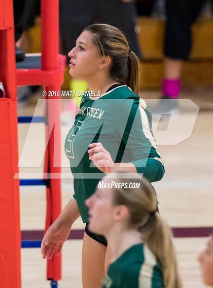 Thumbnail 1 in Bear Creek @ Chatfield photogallery.