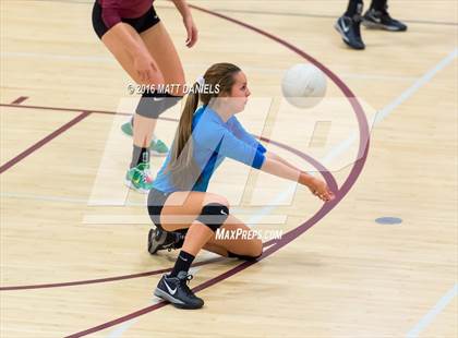 Thumbnail 1 in Bear Creek @ Chatfield photogallery.
