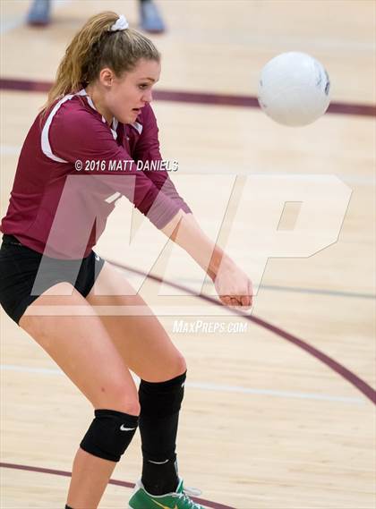 Thumbnail 2 in Bear Creek @ Chatfield photogallery.