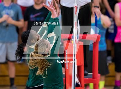 Thumbnail 1 in Bear Creek @ Chatfield photogallery.